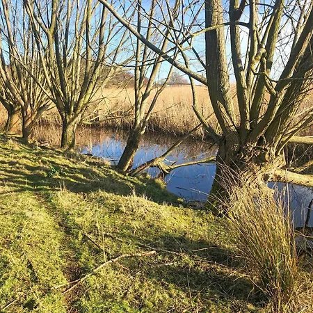公寓 Padua Teichhof Fehmarn Wenkendorf
