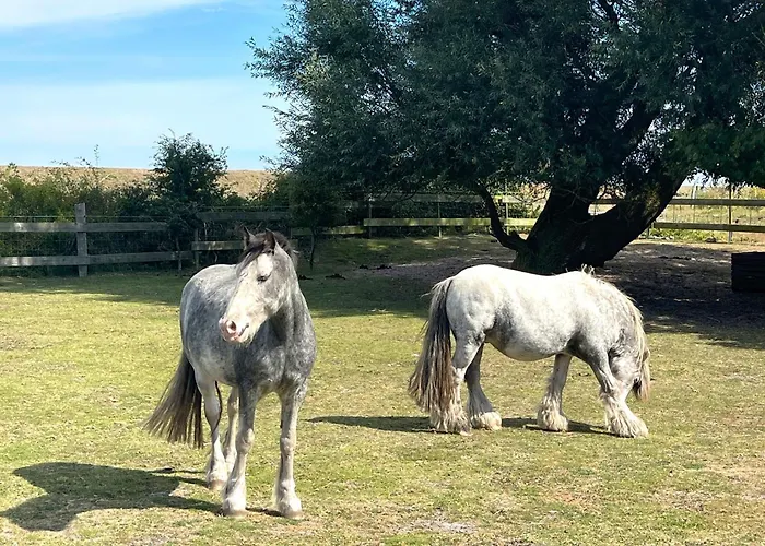 Lägenhet Padua Teichhof Fehmarn *
